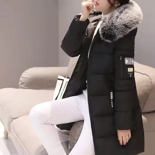 Stylische Stepp-Winterjacke – Modernes Design mit Kapuze und Reißverschluss